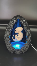 Video of the Shardlurker Specimen Night Light using push-button cable control with the fetal specimen illuminated inside the containment egg